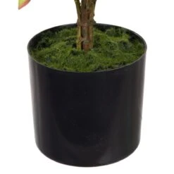 Planta Decorativa 36 X 30 X 44 Cm Crema Peonía 7 Planta Decorativa 36 X 30 X 44 Cm Crema Peonía -OUTSUNNY TIENDA a6835ab71a4950389bc50c239e639c10a900ff10 33c2991d23be4146a17e8c88df200dd9