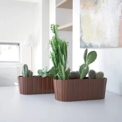 Prosperplast Jardinera Para Balcón BOARDEE BASIC 7,9L., Dimensiones (mm) 587x144x130, Color Gris Piedra -OUTSUNNY TIENDA a82f6698b1b90613dd7faa85b3868aadb02d80a2 750460dece244a339c892c5a88c65f0d