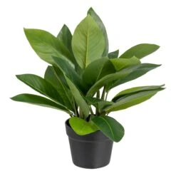 Planta Decorativa 50 X 45 X 48 Cm Verde PVC