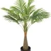 PLANTA PALMERA -OUTSUNNY TIENDA bc3b94bf07b6ba20b8baadc543b3aebb25d355a4 107186