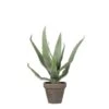 Planta Artificial ALOEVERA Marca MYCA -OUTSUNNY TIENDA c619b4bd49913d10363a210b6fa804256c58d9ea 111015 2