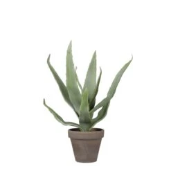 Planta Artificial ALOEVERA Marca MYCA