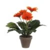 PLANTA GERBERA NARANJA -OUTSUNNY TIENDA cd97a436c0a7fd09f128736c4ea846b893d2b43f 103288