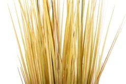 Centro Plumeros 27x27x84 Cm 10 Centro Plumeros 27x27x84 Cm -OUTSUNNY TIENDA d25f1fdd04b620d7439f2b1e1b30833dbd8ff5fd 8c3dbe6f8c30422387e6d97f1b2f8935