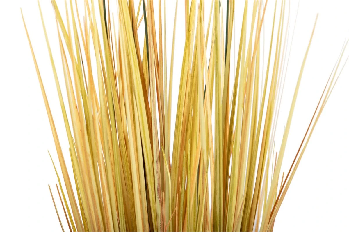 Centro Plumeros 27x27x84 Cm 6 Centro Plumeros 27x27x84 Cm - Imagen 4