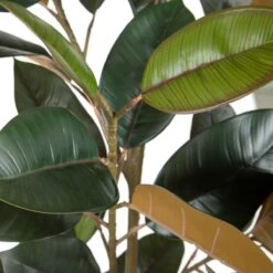 Planta Decorativa 49 X 45 X 125 Cm PVC Ficus Verde Oscuro -OUTSUNNY TIENDA db155547d3df48a8fb74c4580fc8f6f6fd472c0e 619a52a3134f44b08286e0083f6e5da4