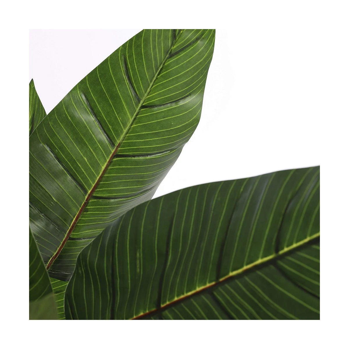 Planta Decorativa Mica Decorations (60 X 110 Cm) 4 Planta Decorativa Mica Decorations (60 X 110 Cm) - Imagen 2