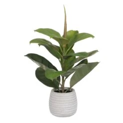 Planta Decorativa Verde PVC Roble 58 Cm