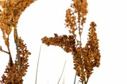 Centro Plumeros 27x27x84 Cm 11 Centro Plumeros 27x27x84 Cm -OUTSUNNY TIENDA e82e5843de234ae212523960dd6504627a8f075f cbf3b69e4dbc4c4d884f124e0e207b42