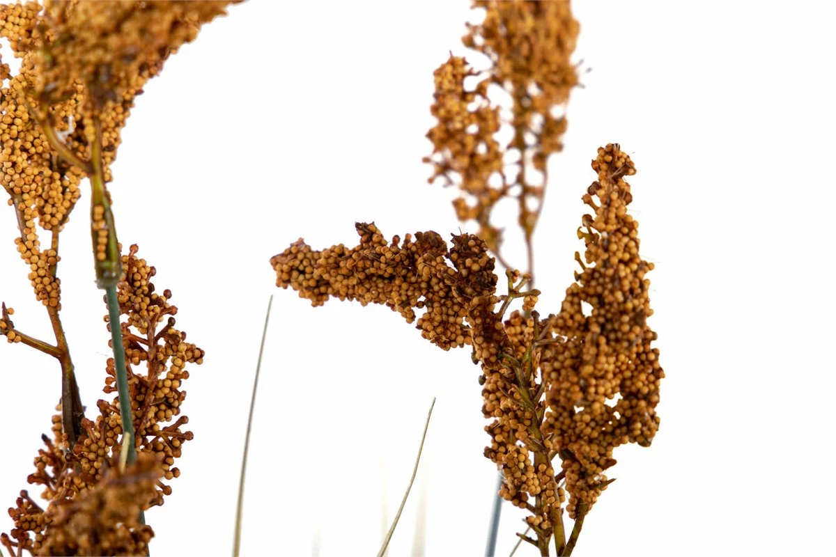 Centro Plumeros 27x27x84 Cm 7 Centro Plumeros 27x27x84 Cm - Imagen 5