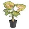 Planta Decorativa 48 X 46 X 55 Cm Rojo Verde PVC -OUTSUNNY TIENDA e9b6b526ce886f85947e0a2a2c8e088700608205 eb337b036121432689bc598034918963