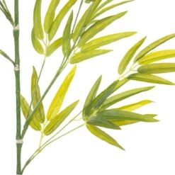 Rama 40 X 30 X 157 Cm Verde 11 Rama 40 X 30 X 157 Cm Verde -OUTSUNNY TIENDA ea86ee5e76c1c3d829266beb65fd5c16c1b63ef5 75b2bc8fd48748419ca2f1aa6726fc63