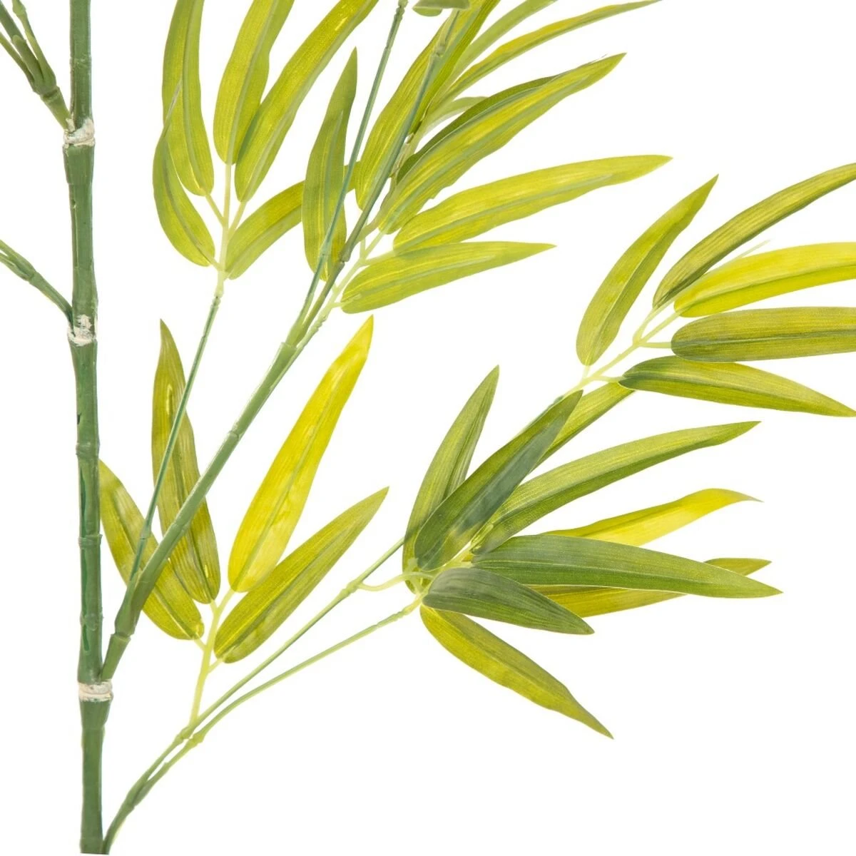 Rama 40 X 30 X 157 Cm Verde 6 Rama 40 X 30 X 157 Cm Verde - Imagen 4