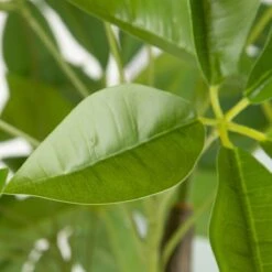 Planta Decorativa 54 X 52 X 120 Cm Verde PVC -OUTSUNNY TIENDA ed413e3f140035b2e9083be39a1bce4cd51731da bbb369b940f44caeb60938fd4003a720