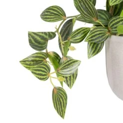 Planta Decorativa 33 X 33 X 24 Cm Blanco Verde PVC -OUTSUNNY TIENDA f51611e18e5240436c73fd7b48af7700f87f0c77 b3d9b391b08847bb83303b8c12637ead