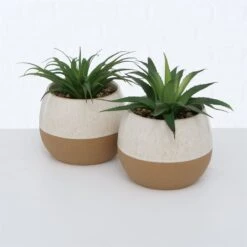 ALOE VERA LOVIO SURTIDO