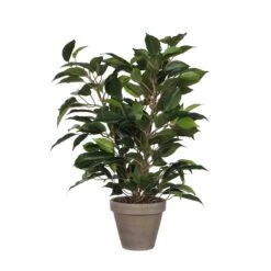 Planta Artificial FICUS Verde Oscuro Marca MYCA